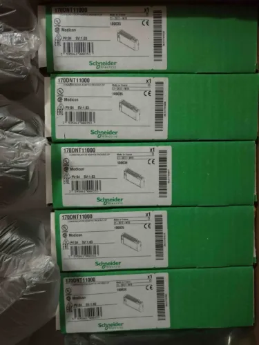 170DNT11000 Schneider Modicon Momentum Brandy Original Factory Sealed New