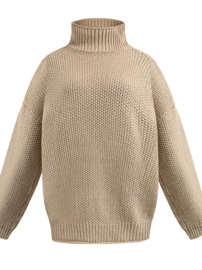 Female Roll Side High Collar Bat Sleeve Sweater