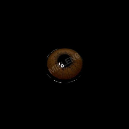 ��LENSPOEM��Latte Brown Colored Contact Lenses