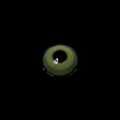 ��US Warehouse�� Pixie Green  Colored Contact Lenses  Yearly