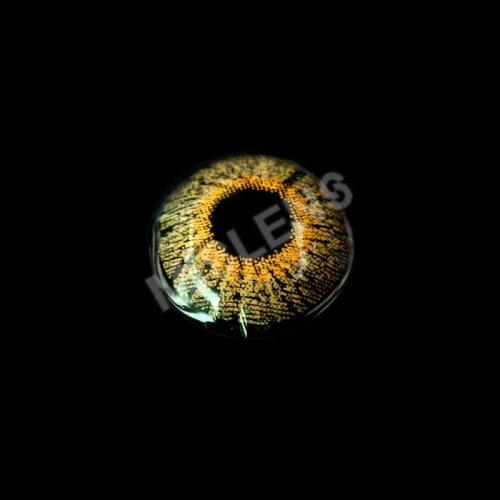 ��LENSPOEM��Forest Karst Brown Colored Contact Lenses