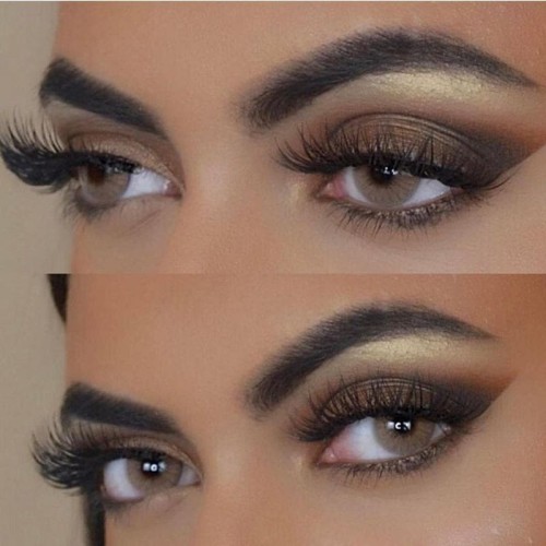 ��LENSPOEM��Hidrocor Ocre Brown Colored Contact Lenses