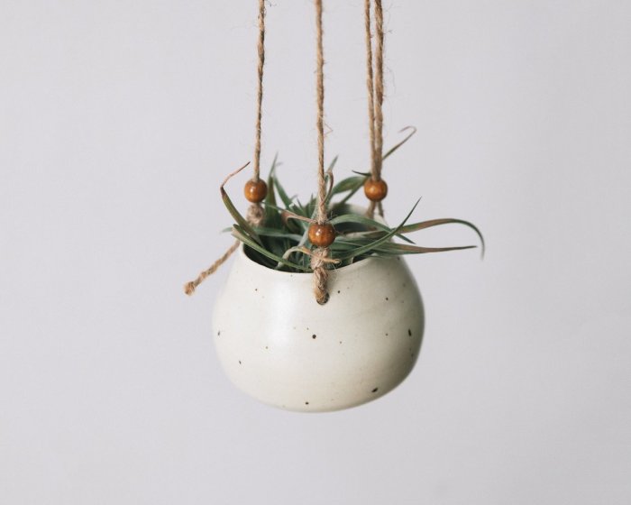 Jupiter Hanging Vase