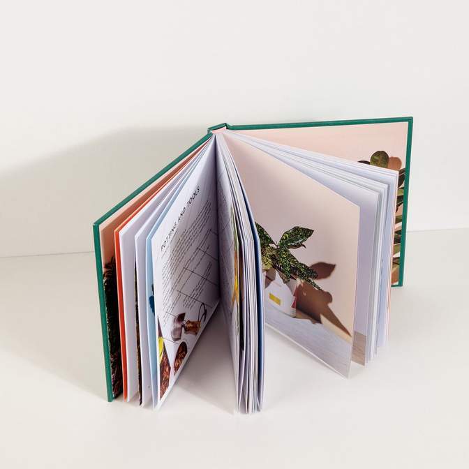 Little Book Of Houseplants And Other Greenery