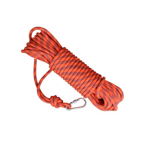 MAURIS LACINIA LECTUS