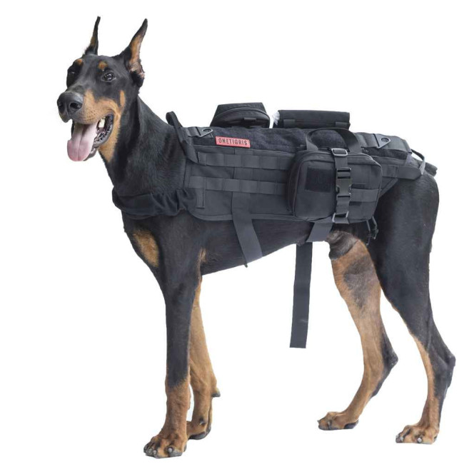 Training Dog Vest with Detachable Pouches