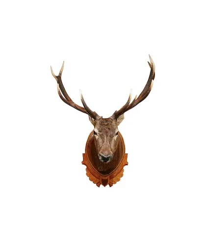 Antelope wall mount
