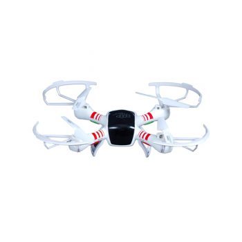 Pellentesque posuere